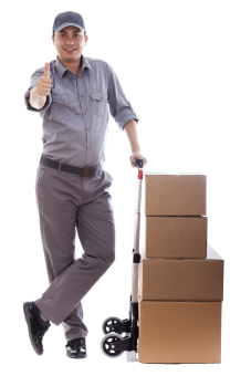 Removalist Removalist